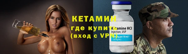 шишки Сосновка