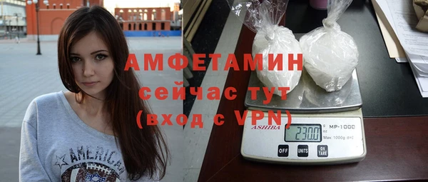 шишки Сосновка