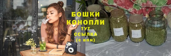 гашик Слюдянка